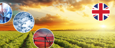 MBA - Bioeconomy